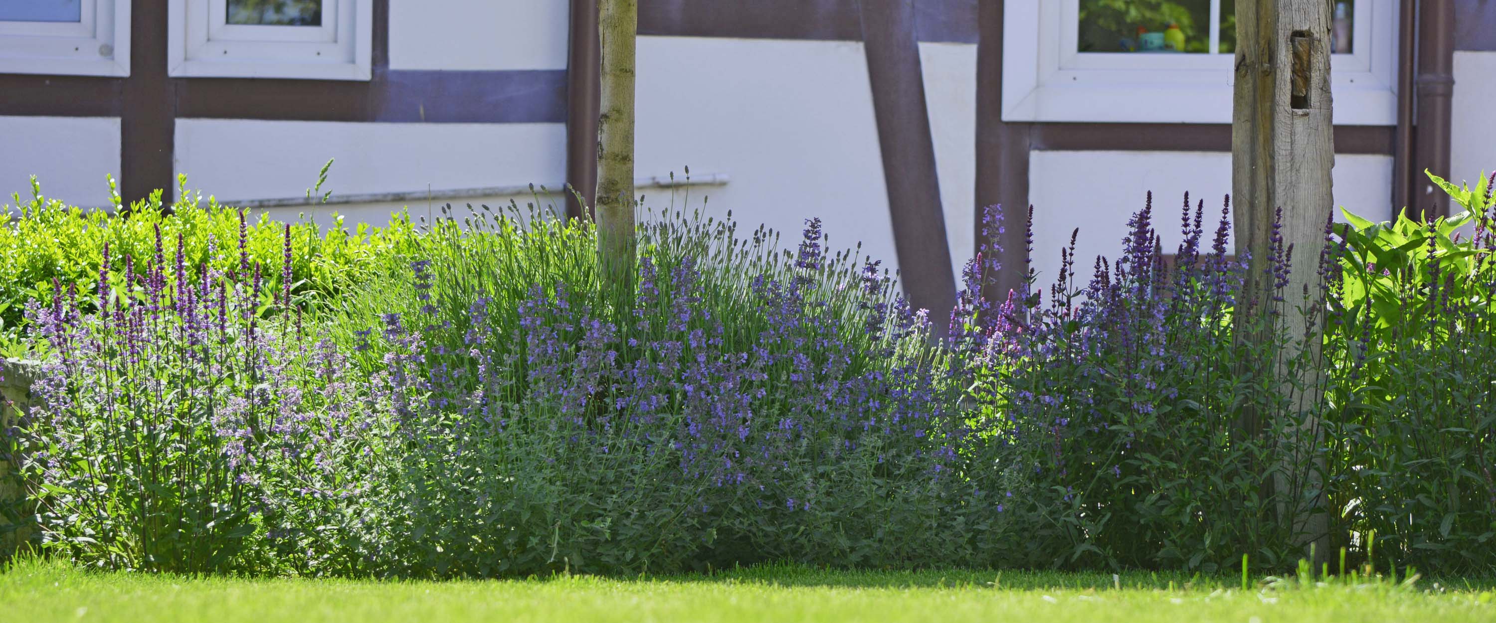 Drolshagen Garten- und Landschaftsbau – Informieren Sie sich über